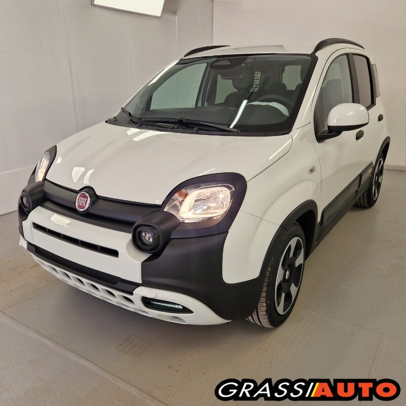 FIAT Panda 3ª serie Panda 1.0 FireFly S&S Hybrid Pandina