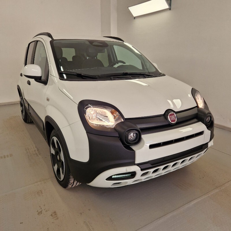 FIAT Panda 3ª serie Panda 1.0 FireFly S&S Hybrid Pandina - immagine 2