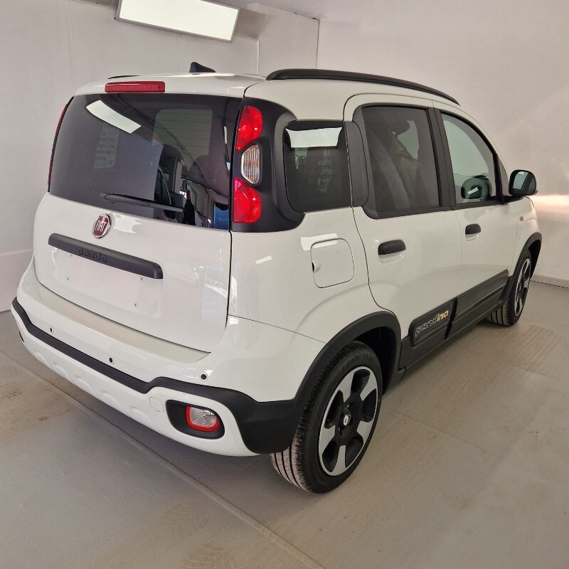 FIAT Panda 3ª serie Panda 1.0 FireFly S&S Hybrid Pandina - immagine 4