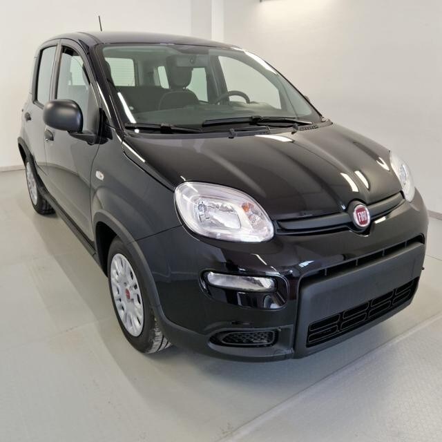 FIAT Panda 3ª serie Panda 1.0 FireFly S&S Hybrid - immagine 2