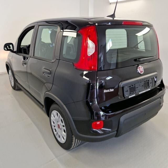 FIAT Panda 3ª serie Panda 1.0 FireFly S&S Hybrid - immagine 3