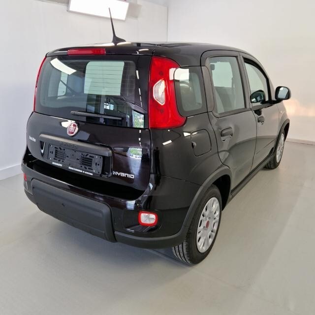 FIAT Panda 3ª serie Panda 1.0 FireFly S&S Hybrid - immagine 4